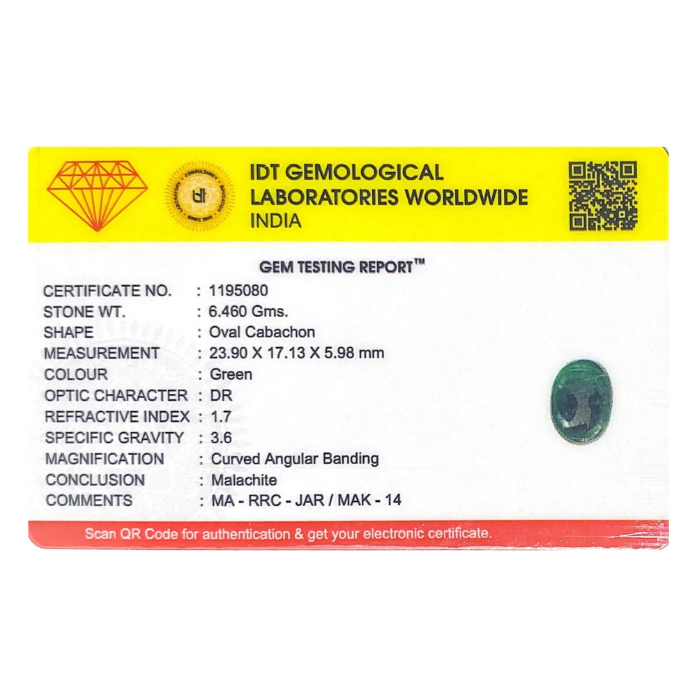 Malachite (Kidney Stone) - 32.3 Carat