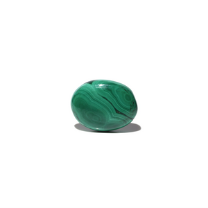 Malachite (Kidney Stone) - 23.15 Carat - Pramogh