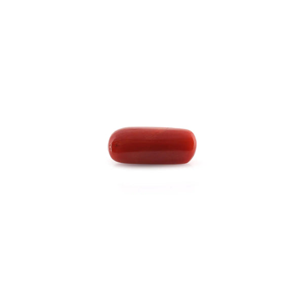 Red Coral - 9.41 Carat - Pramogh