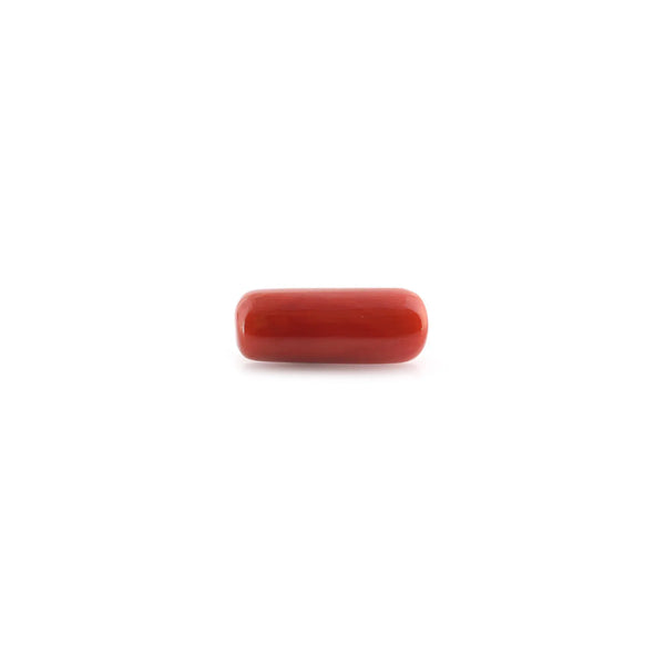 Red Coral - 9.74 Carat - Pramogh