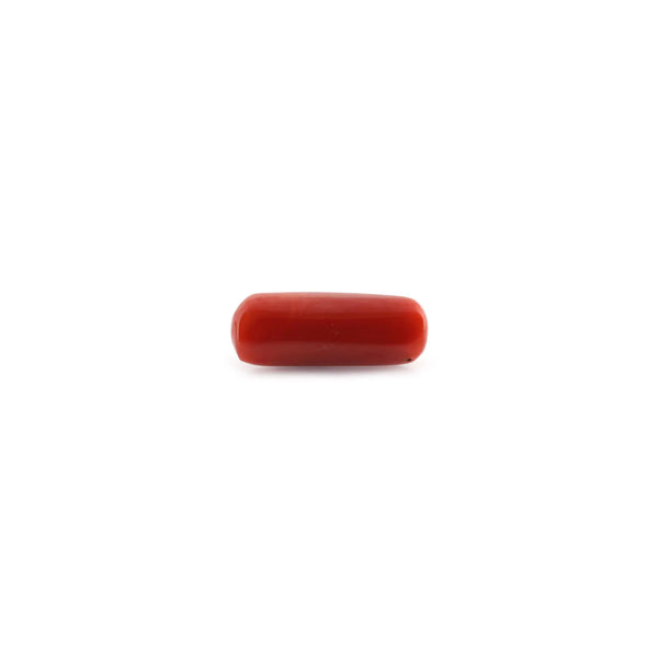 Red Coral - 9.52 Carat - Pramogh