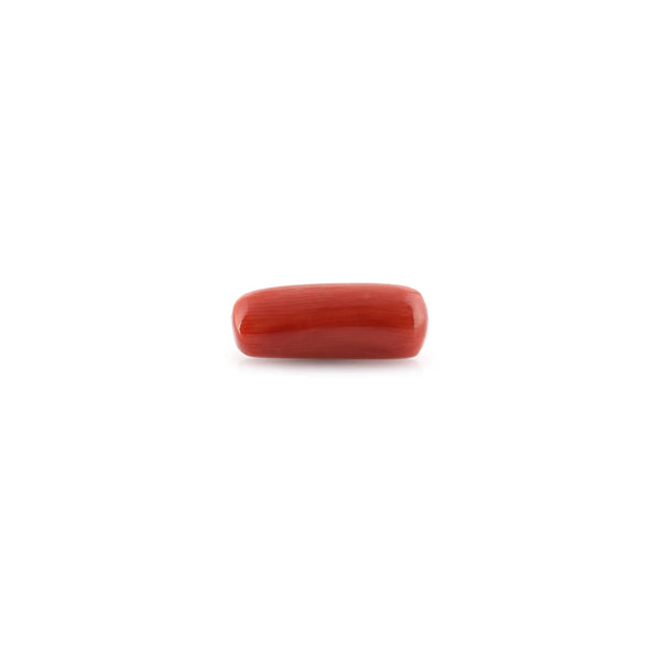 Red Coral - 9.45 Carat - Pramogh
