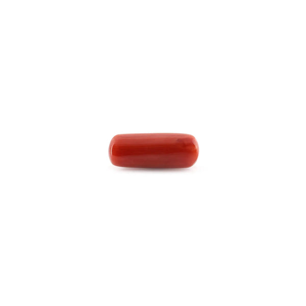 Red Coral - 9.45 Carat - Pramogh