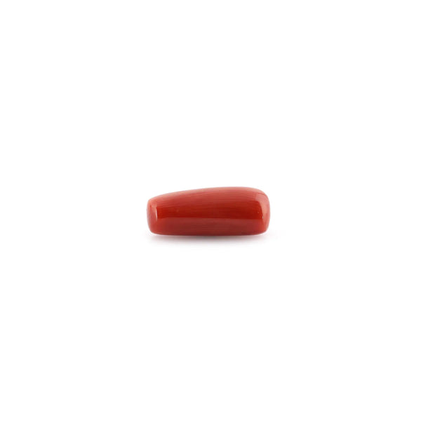 Red Coral - 9.45 Carat - Pramogh