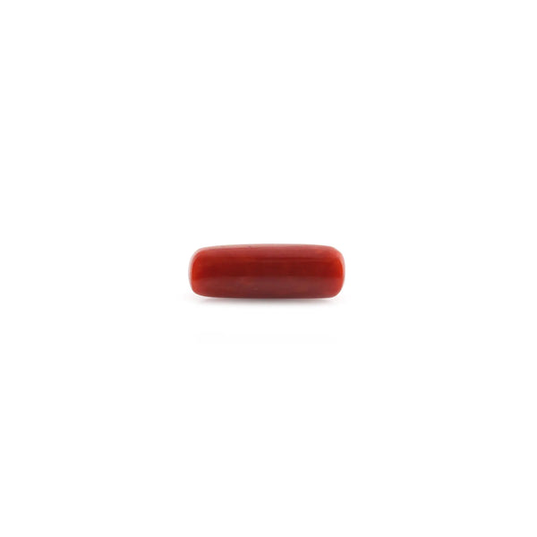 Red Coral - 9.78 Carat - Pramogh