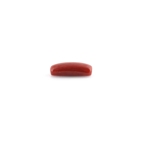 Red Coral - 9.78 Carat - Pramogh