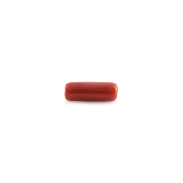 Red Coral - 9.58 Carat - Pramogh