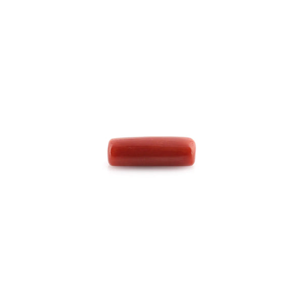 Red Coral - 9.58 Carat - Pramogh