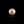 Load image into Gallery viewer, Pearl - 7.55 Carat - Pramogh