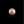 Load image into Gallery viewer, Pearl - 7.25 Carat - Pramogh