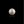 Load image into Gallery viewer, Pearl - 7.35 Carat - Pramogh