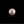 Load image into Gallery viewer, Pearl - 7.35 Carat - Pramogh