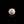Load image into Gallery viewer, Pearl - 7.75 Carat - Pramogh