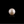 Load image into Gallery viewer, Pearl - 7.9 Carat - Pramogh