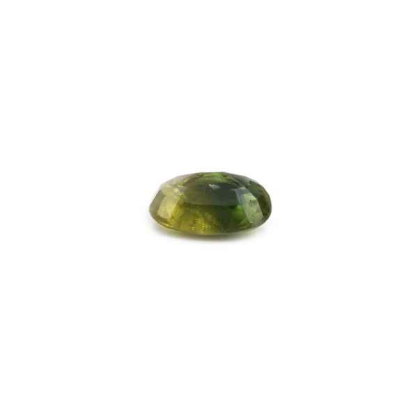 Bi-Color Sapphire (Pitambari) - 6.4 Carat - Pramogh