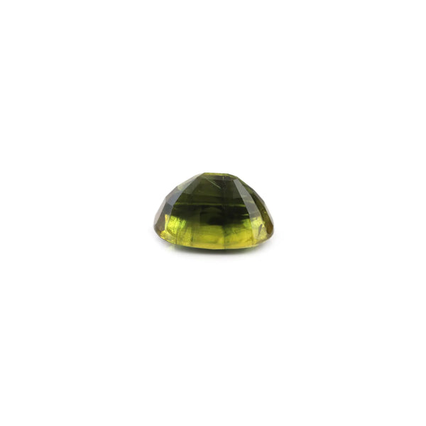 Bi-Color Sapphire (Pitambari) - 8 Carat - Pramogh