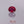 Load and play video in Gallery viewer, Ruby - 7.2 Carat
