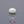 Load and play video in Gallery viewer, White Coral - 4.39 Carat