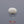 Load and play video in Gallery viewer, White Coral - 4.28 Carat