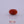 Load and play video in Gallery viewer, Red Coral - 4.9 Carat