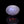 Load and play video in Gallery viewer, Blue Moonstone - 11.25 Carat