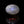 Load and play video in Gallery viewer, Blue Moonstone - 15.2 Carat