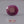 Load and play video in Gallery viewer, African Ruby - 16.6 Carat