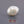 Load and play video in Gallery viewer, Keshi Pearl - 12.9 Carat
