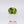 Load and play video in Gallery viewer, Peridot - 4.25 Carat