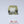 Load and play video in Gallery viewer, Yellow Sapphire - 4.88 Carat