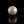 Load and play video in Gallery viewer, Pearl - 7.85 Carat