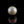 Load and play video in Gallery viewer, Pearl - 7.25 Carat