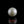 Load and play video in Gallery viewer, Pearl - 7.4 Carat