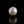 Load and play video in Gallery viewer, Pearl - 7.35 Carat