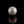 Load and play video in Gallery viewer, Pearl - 7.8 Carat