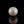 Load and play video in Gallery viewer, Pearl - 7.35 Carat