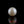 Load and play video in Gallery viewer, Pearl - 7.05 Carat