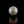 Load and play video in Gallery viewer, Pearl - 7.05 Carat