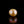 Load and play video in Gallery viewer, Golden Pearl - 4.9 Carat