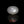 Load and play video in Gallery viewer, Moonstone - 9.9 Carat