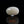 Load and play video in Gallery viewer, Opal - 7.25 Carat