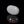 Load and play video in Gallery viewer, Opal - 6.4 Carat