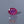Load and play video in Gallery viewer, Ruby - 5 Carat