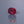 Load and play video in Gallery viewer, Ruby - 8.3 Carat