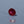 Load and play video in Gallery viewer, Ruby - 8.5 Carat