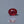 Load and play video in Gallery viewer, Ruby - 6.45 Carat