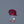 Load and play video in Gallery viewer, Ruby - 3.45 Carat