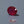 Load and play video in Gallery viewer, Ruby - 11.85 Carat