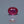 Load and play video in Gallery viewer, Ruby - 6.8 Carat