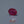 Load and play video in Gallery viewer, Ruby - 6.4 Carat